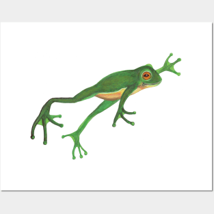 Green Jumping Frog Illustration Posters and Art